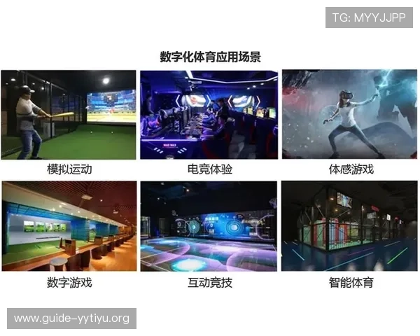 太空体育app在家庭健身中的应用场景与用户使用心得分享